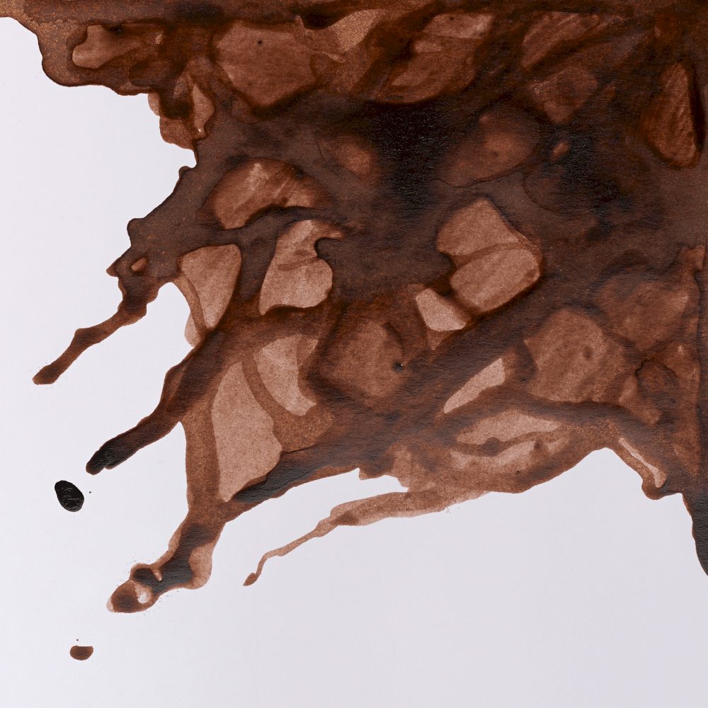 TINTA CHINA WINSOR 14ML RF469 MARRON PEAT NUEZ 1